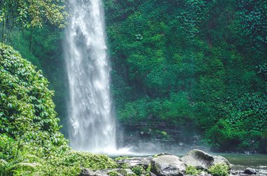 Nungnung şelale bir arka planda, Bali, Endonezya güzel bir görünümü küçük bir göl ve taşlar ve merkezi ve yeşil Orman ağaçları düşen bir su