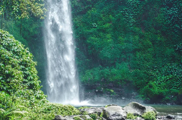 Μια όμορφη θέα του Nungnung καταρράκτη με μια μικρή λίμνη και πέτρες και νερό που πέφτουν στο κέντρο και μια πράσινη ζούγκλα δέντρα σε φόντο, Μπαλί, Ινδονησία — Φωτογραφία Αρχείου