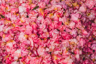 Çok sayıda doğal Pembe çiçek yaprakları arka plan