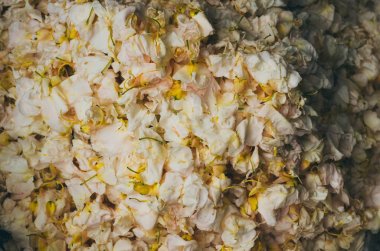 Doğal beyaz çiçek yaprakları arka plan bir sürü