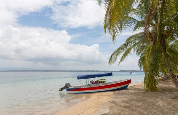 Boot am Strand unter Palmen Stockbild