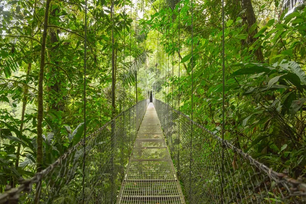 Hängebrücke, Costa Rica lizenzfreie Stockfotos