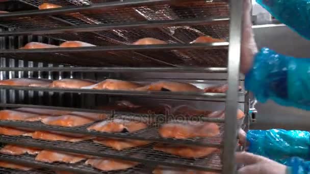 Un trabajador puso filetes de salmón en el horno para fumar pescado en la fábrica . — Vídeo de stock