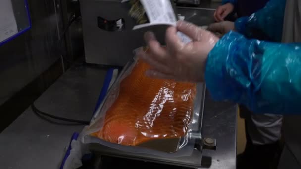 Werknemers vis fabriek verpakt zalmfilets. — Stockvideo