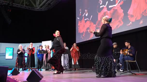 Flamenko dans Tiyatrosu tanıtımı — Stok video