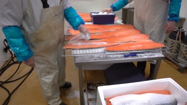 Trabajadores que aplican sal sobre filetes de salmón acostados en la mesa en una pescadería . — Vídeos de Stock