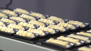 Diş kron standında birçok örnekleri.