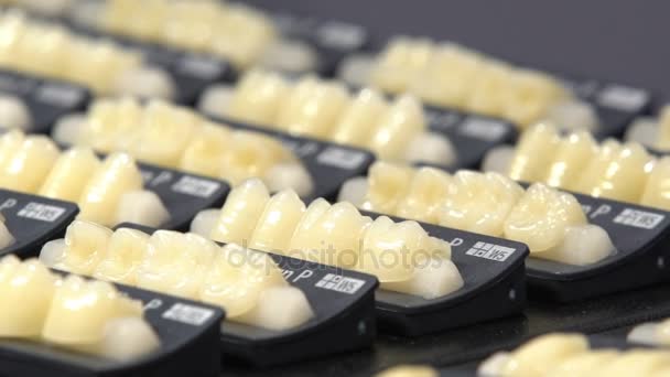 Muitas amostras de coroas dentárias no suporte . — Vídeo de Stock