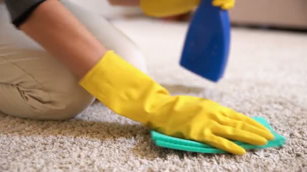 Ibu rumah tangga membersihkan karpet dengan deterjen khusus. — Stok Video