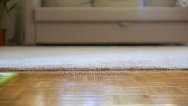 Mujer limpiando suelos de parquet en la sala de estar. Primer plano . — Vídeo de stock