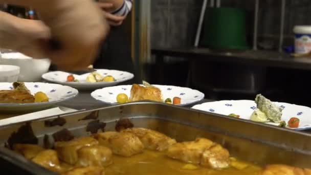 Şef bir restoran mutfakta bir plaka üzerinde balık parçaları koyar. — Stok video