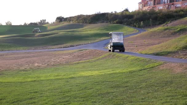 Den kvinnliga golfaren använder en golfbil på golfbana. — Stockvideo