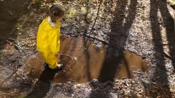 Liten flicka i gul gummi kostym hoppar i pöl. — Stockvideo