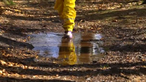 Niña con traje de goma amarilla está saltando en un charco. Moción lenta — Vídeos de Stock