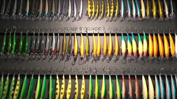 Tiga kait dan umpan ikan berwarna-warni di toko peralatan olahraga — Stok Video