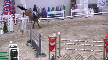 Profesyonel kadın jokey ve atını engel atlamak.