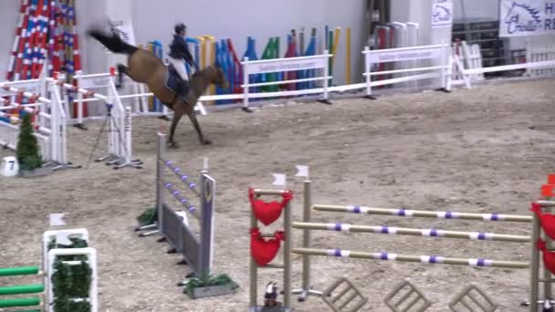 Professional female jockey and her horse jump over the barrier. — Stock Video