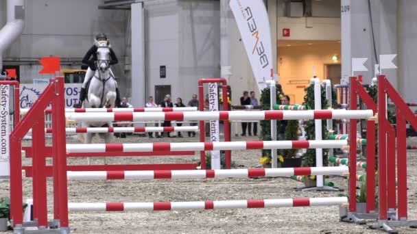 Professionele vrouwelijke jockey en haar paard springen over de barrière. Slow motion — Stockvideo