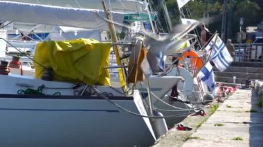 Helsinki merkez iskelede birçok yelkenli gemi.