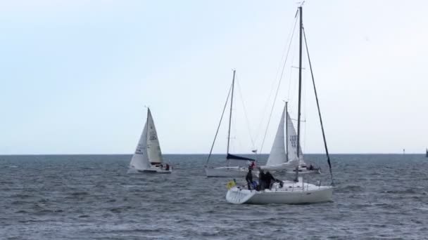 Massor av båtar i viken i Östersjön. — Stockvideo