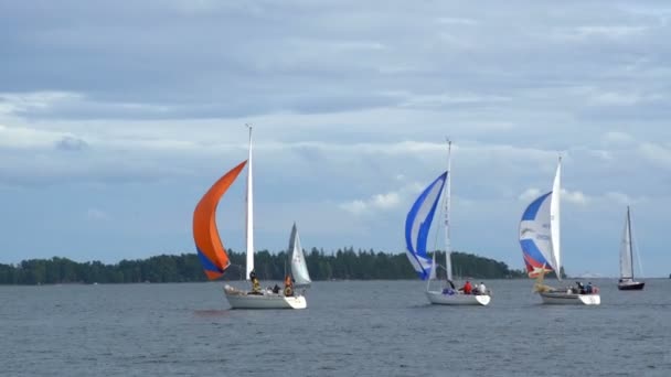 Яхты, плавающие в Балтийском море . — стоковое видео