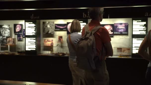 ストックホルムの海事ヴァーサ号博物館多くの来場者。ドーリー ショット. — ストック動画