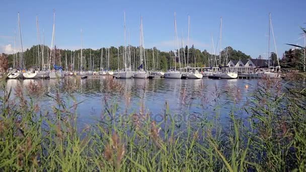 Muitos barcos na marina na costa sul da Finlândia . — Vídeo de Stock