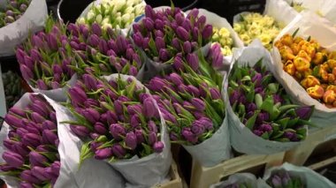 Birçok farklı çiçek ve bitki yıldız dükkanda.