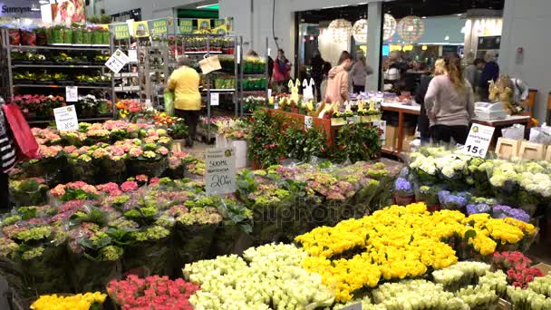 Много различных цветов и растений в звездном магазине . — стоковое видео
