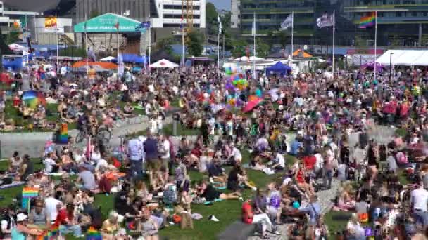 Milhares de pessoas no grande piquenique em honra do Orgulho de Helsinque 2016. Desfasamento temporal — Vídeo de Stock