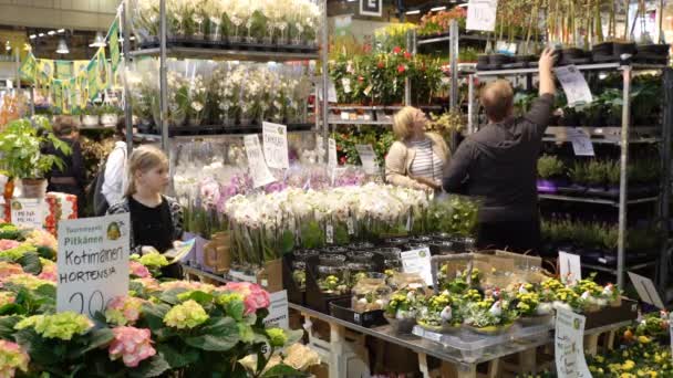 Beaucoup de fleurs et de plantes différentes dans la boutique d'étoiles . — Video