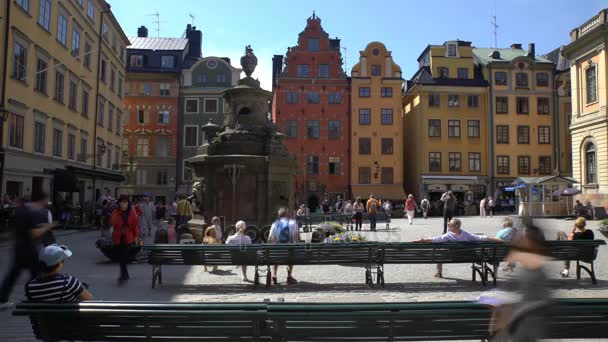 Tourists on the square in front of the Nobel Museum in Stocholm. Time Lapse — Stock Video