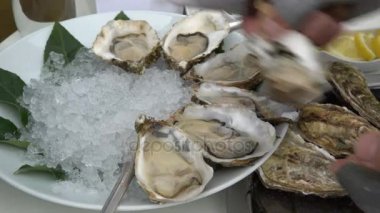 Şef buz açık taze istiridye üzerinde koyar.