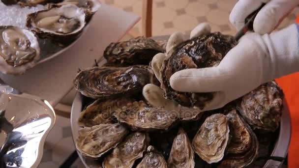 Şef istiridye restoranına ziyaretçiler için açılır. — Stok video