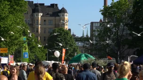 Viele Möwen kreisen während des Stadtfestes über der Menge. Zeitlupe. — Stockvideo