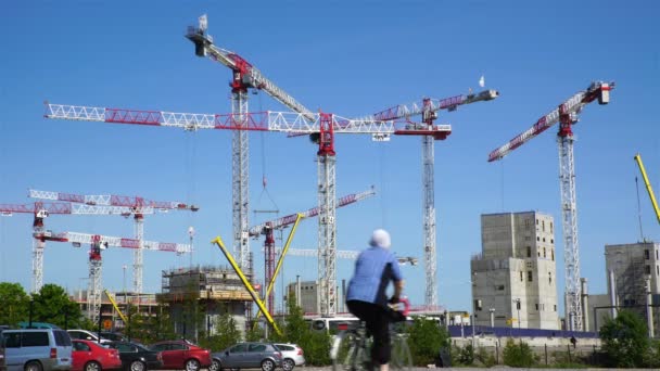 Het industriële landschap. High-Rise bouw kranen in actie. — Stockvideo