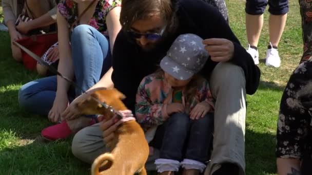 Kinderen spelen met een kleine hond. — Stockvideo