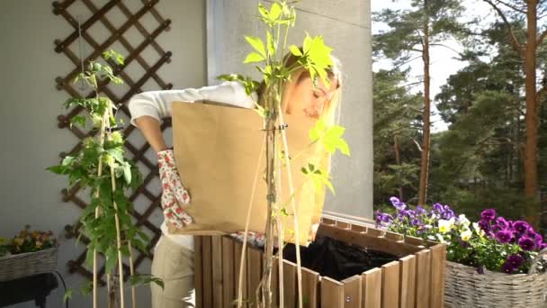 Молода жінка наливає землю в контейнер і саджає розсаду на балконі . — стокове відео
