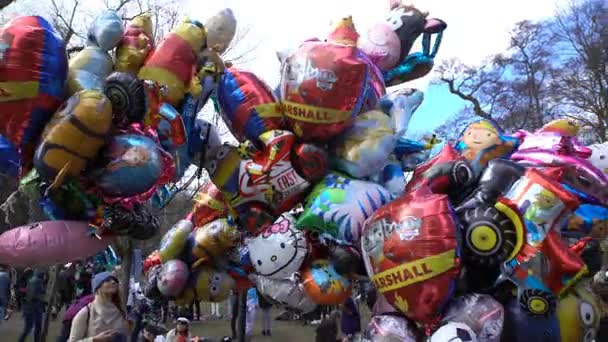Balões multicoloridos no parque da cidade da primavera — Vídeo de Stock