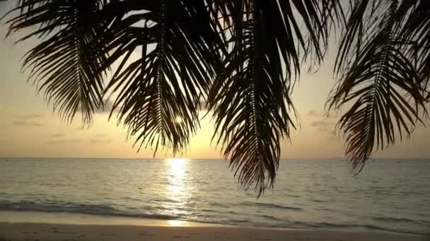Захід сонця на березі океану. Чоловік проходить вздовж лінії прибою. — стокове відео