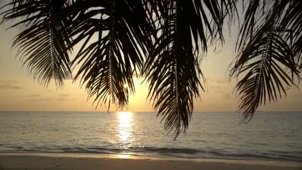 Захід сонця на березі океану. Повільний рух — стокове відео