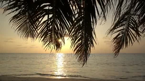 Coucher de soleil sur l'océan. — Video