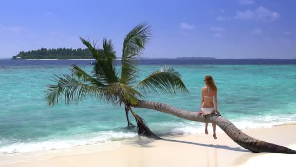 Hermosa mujer joven delgada disfrutando de vacaciones en una playa tropical. Movimiento lento . — Vídeos de Stock