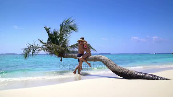 Una pareja amorosa disfrutando de vacaciones en una playa tropical . — Vídeos de Stock