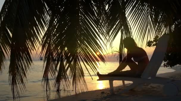Jovem mulher ao pôr-do-sol junto ao oceano debaixo de uma palmeira . — Vídeo de Stock