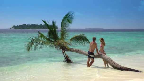 Una pareja amorosa disfrutando de vacaciones en una playa tropical . — Vídeo de stock