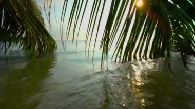 Okyanus dalgaları dallarında palm ile renkli tropikal peyzaj.