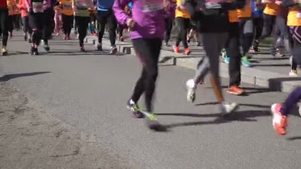 Muchos fans de un estilo de vida saludable correr maratón de la ciudad . — Vídeos de Stock