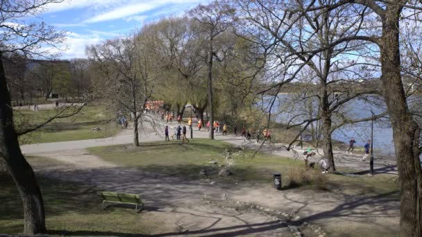 Många fans av en hälsosam livsstil kör city marathon. — Stockvideo