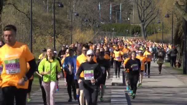 Beaucoup de fans d'un marathon de ville de course de mode de vie sain . — Video